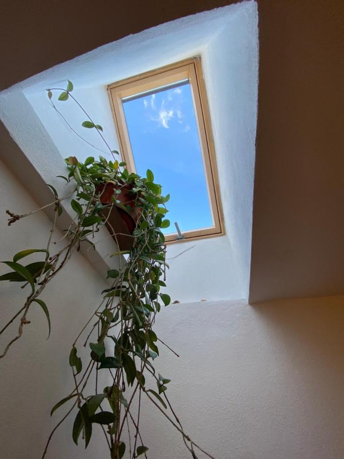 Casa Mili Ξενοδοχείο Grinties Εξωτερικό φωτογραφία